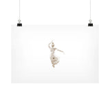 Horizontal Fine Art Prints (Posters)  DesiVesiLtd